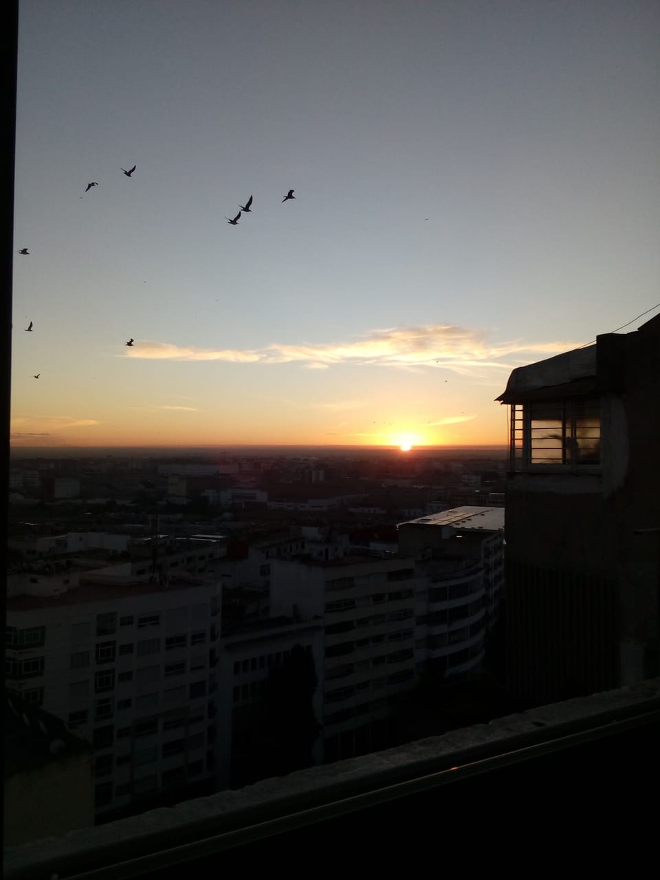 Sunrise from the sofabed room