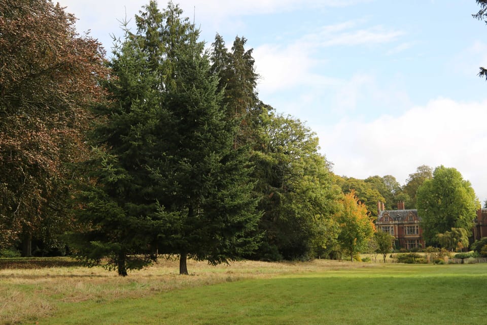 Joyce Grove from the Grounds