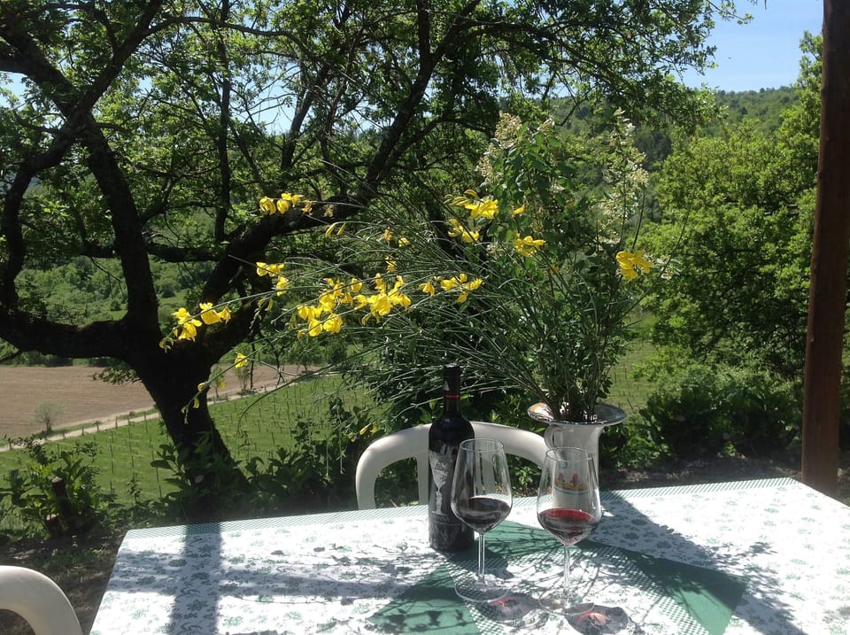 Garden with panorama on the valley. In the evening sunset side (west exposed)