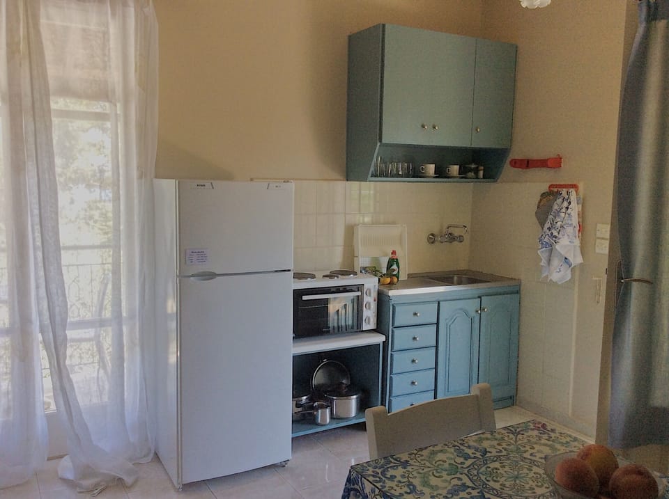 Studio offers a kitchenette with compact size refrigerator. Kefalonia studios