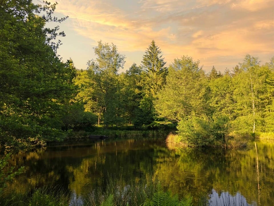 Etang