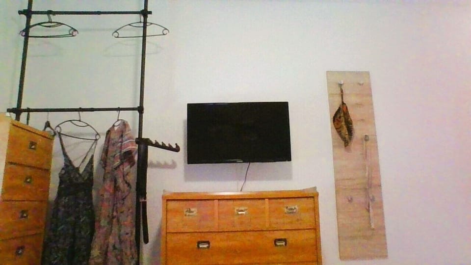 Television