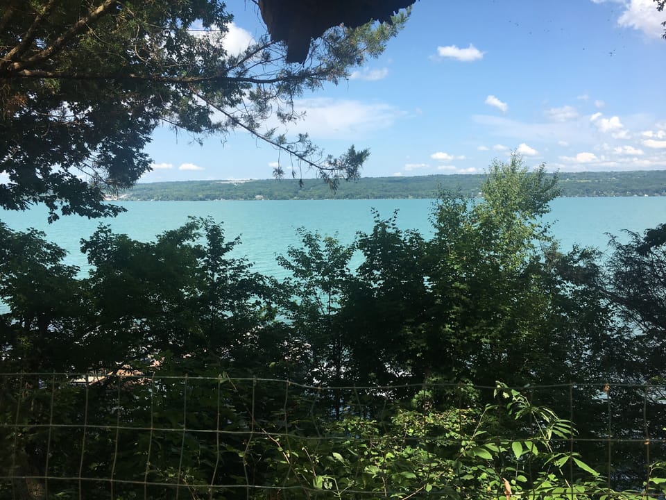 View from the covered porch