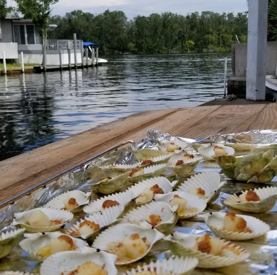 Scallop Season July - September. Enjoy them on the half-shelve