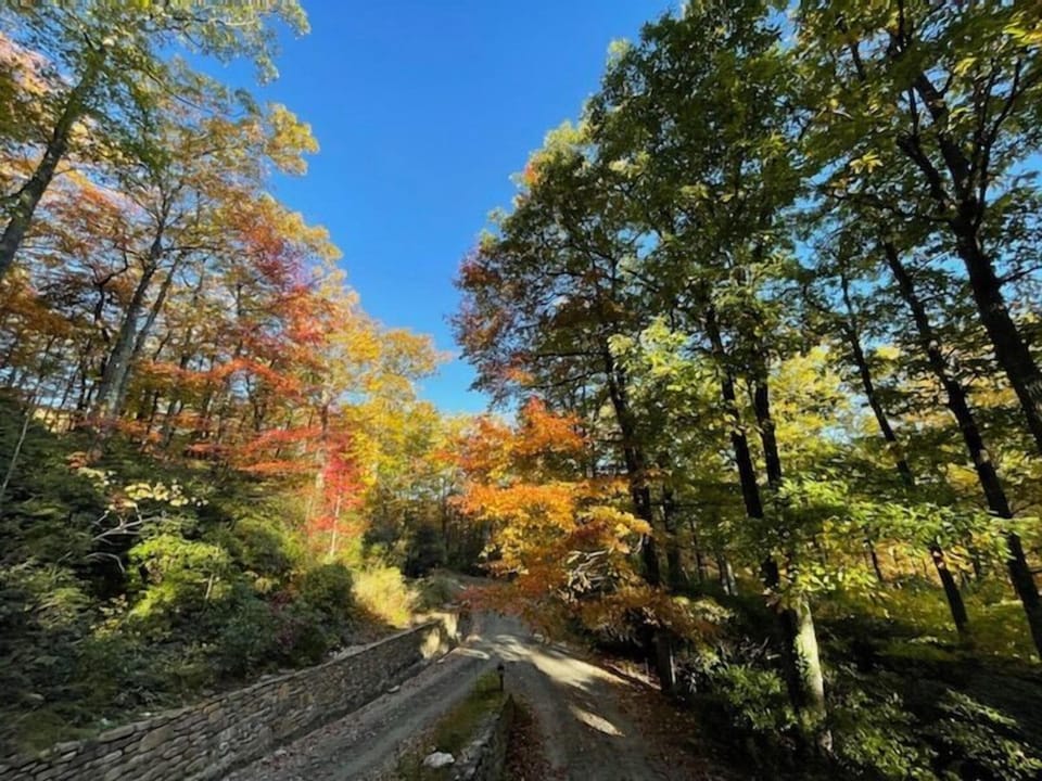 Driveway leading back to Autumn Forest Dr