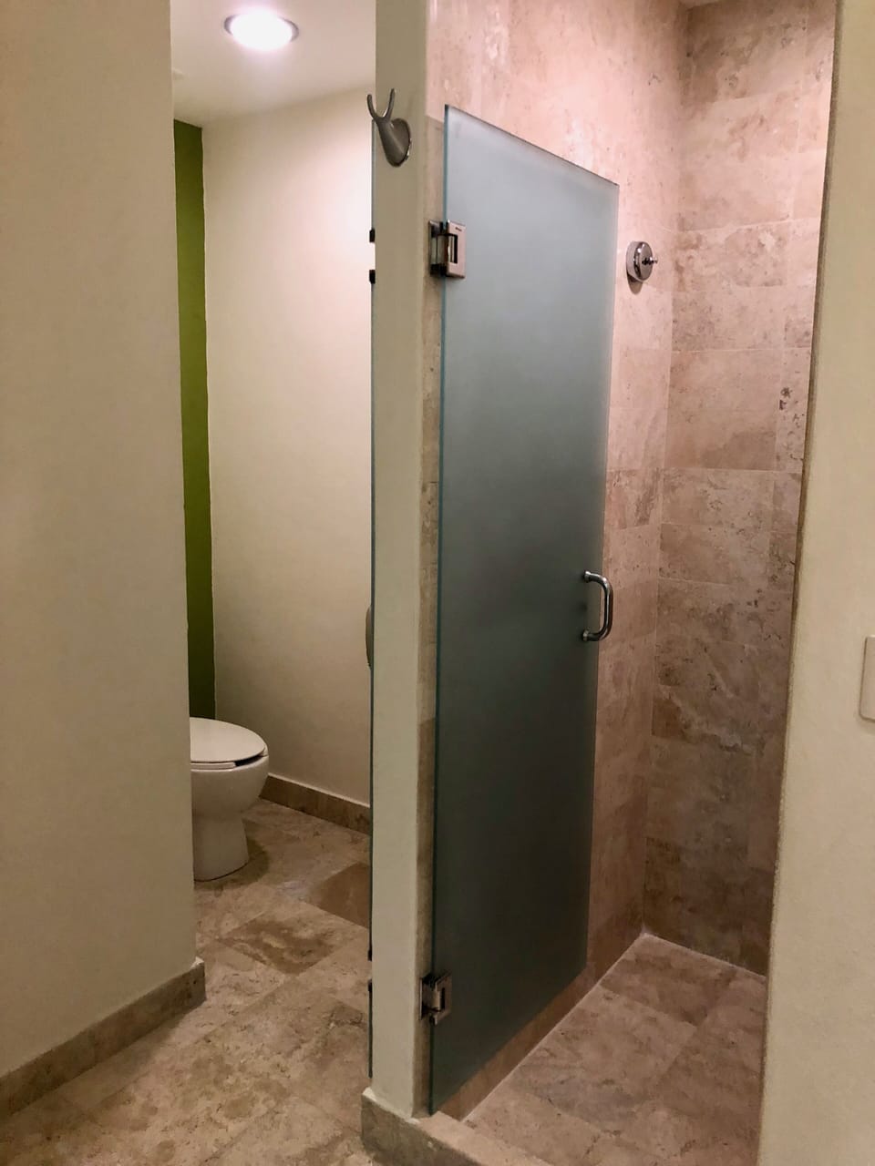 Toilet and Shower