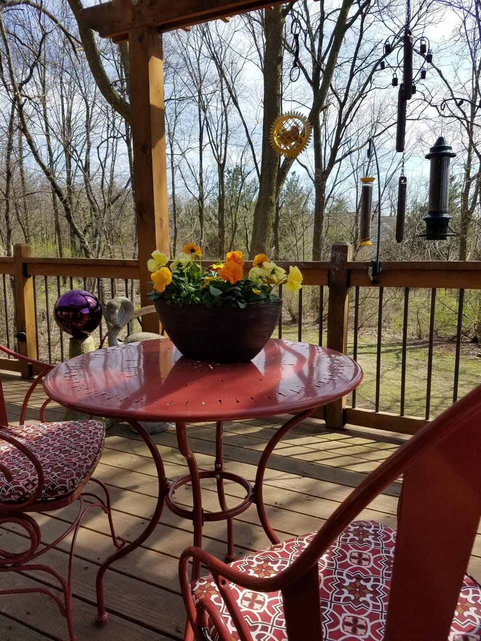Early spring view of the woods from dining area.