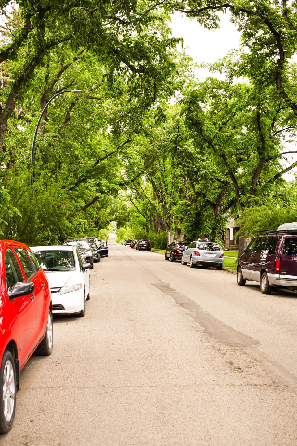 One of the nicest streets in Calgary!
