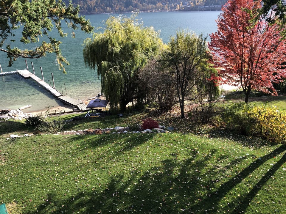 Front yard in the Fall