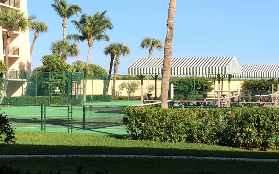 Sport court