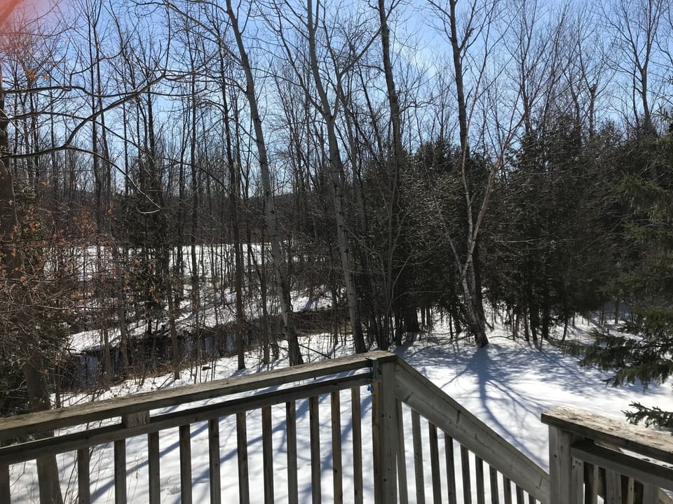 Tranquil and private 2-tiered back deck looking out on golf course