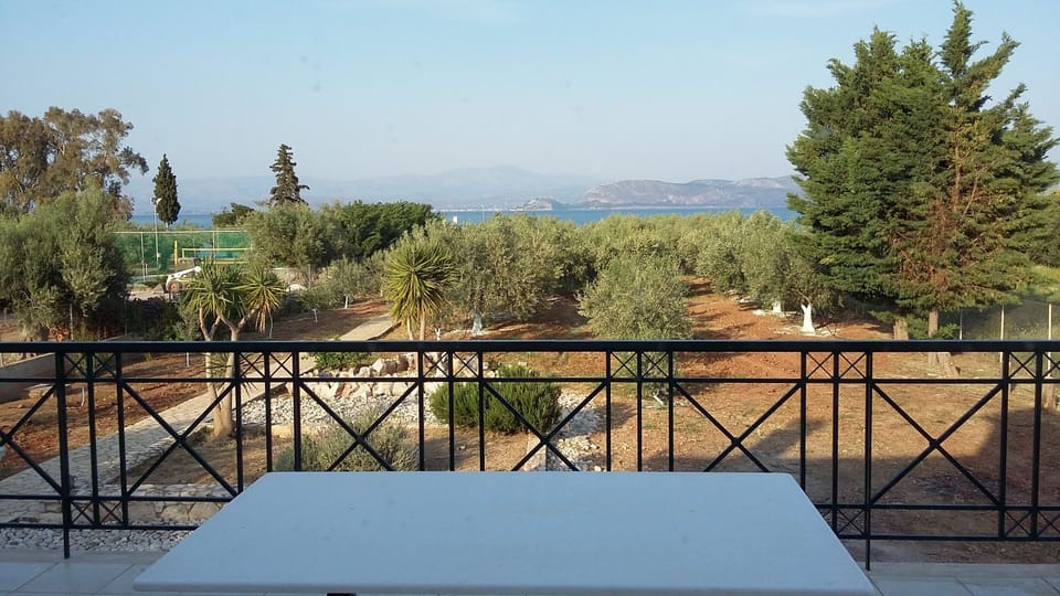 View from the Terrace