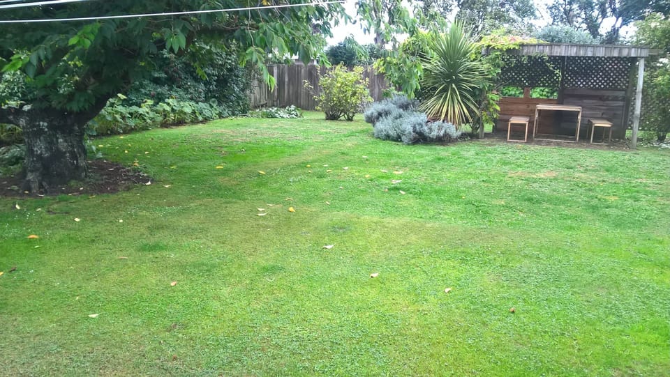 Fully fenced secure private backyard with large Cherry blossom tree and gazebo
