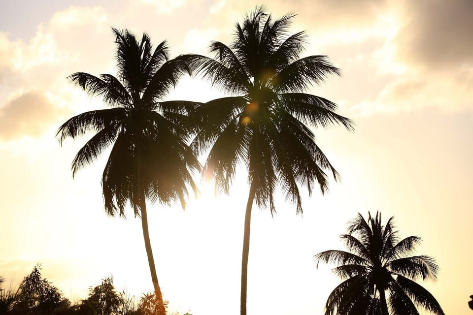 Barbados West Coast is perfect for happy hour and sun set.
