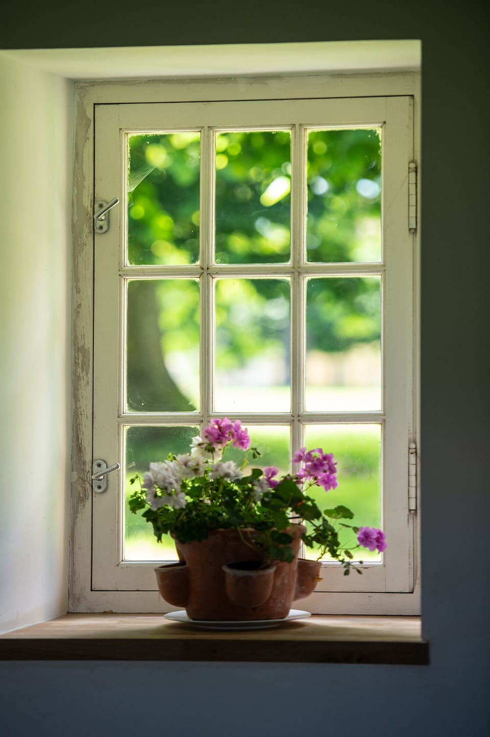 A glimpse of life on the estate via a back window