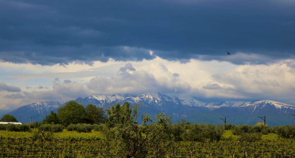 Villa with large garden 10 minutes from the beach Villa in Abruzzo