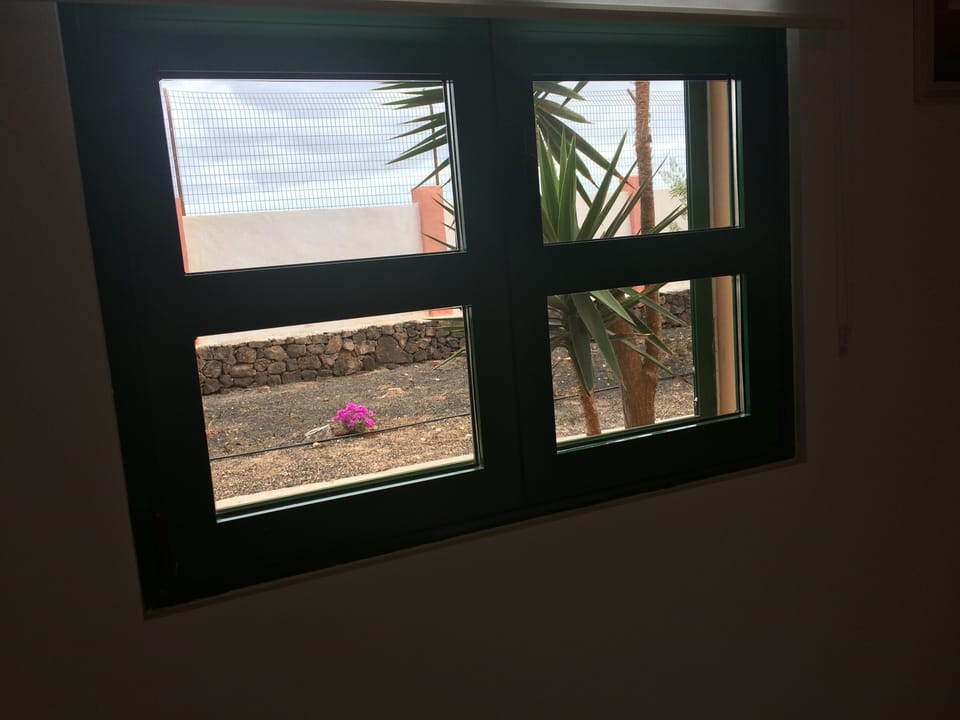 view from the bedroom