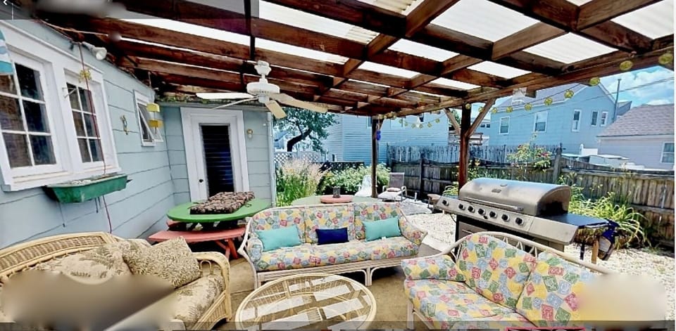 back yard