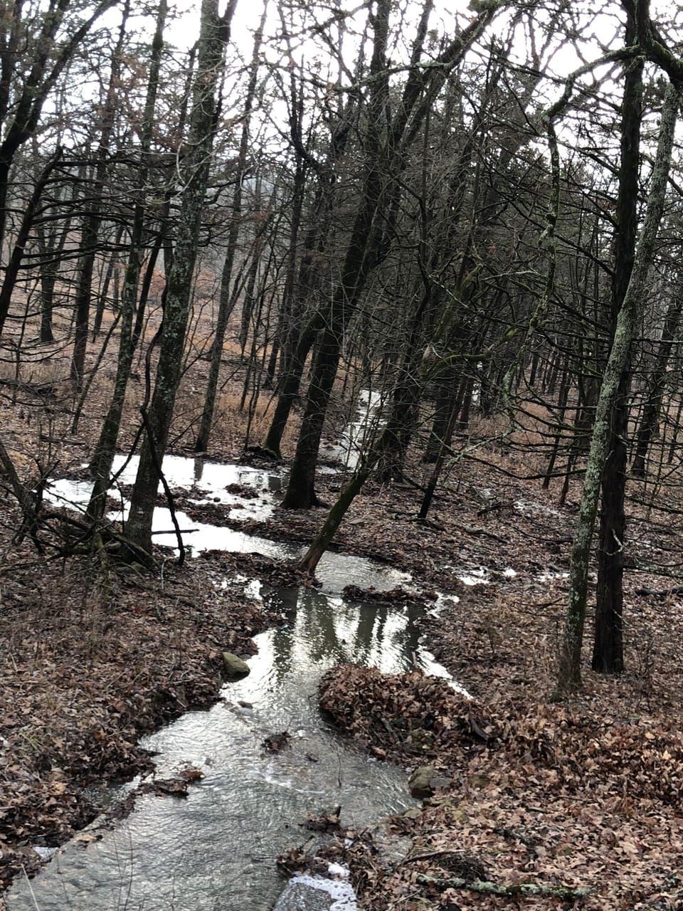 Pea Ridge National Monument is a well preserved Civil War site.