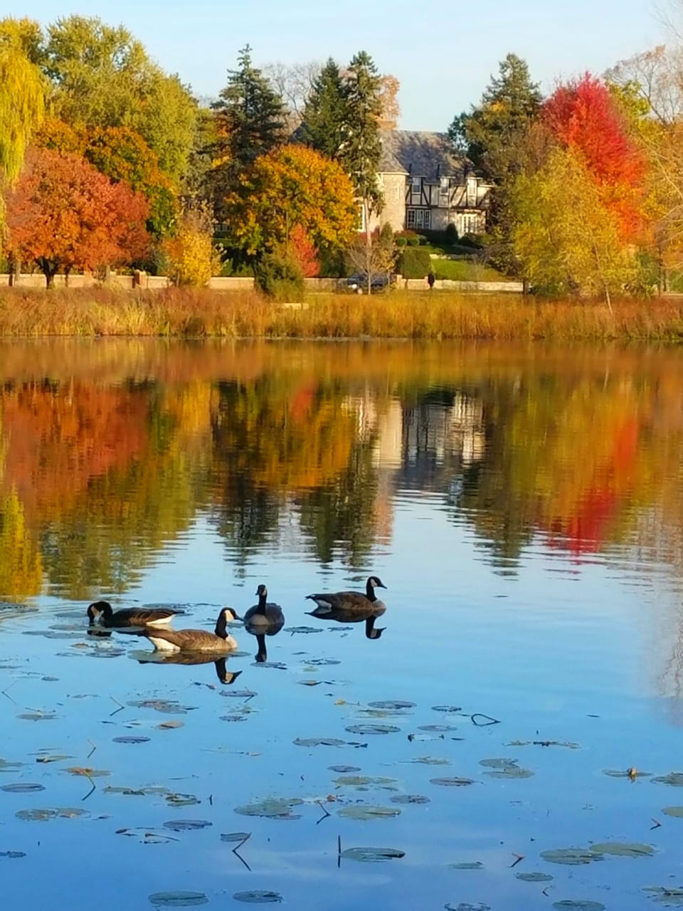Fall walk around Lake of the Isles.