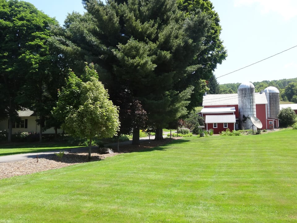 view of barn from main road house on right