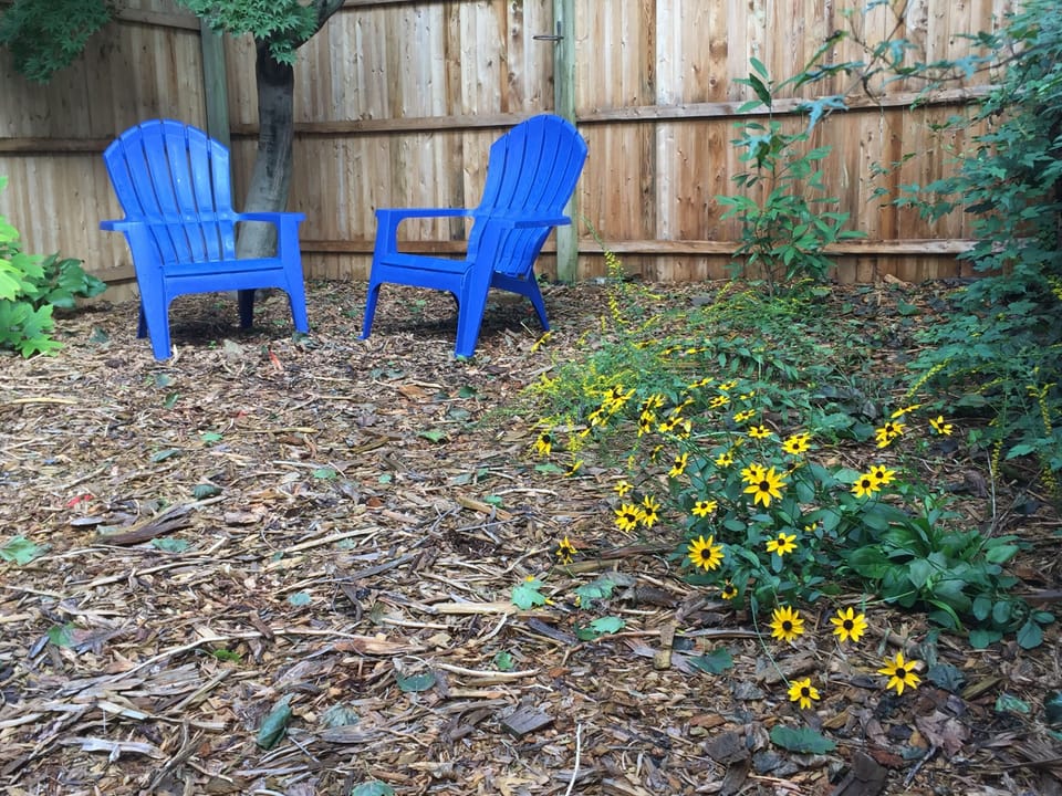 Backyard area to enjoy morning coffee