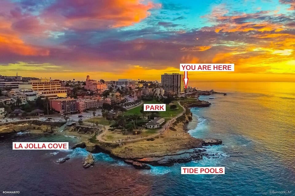 La Jolla Cove Area