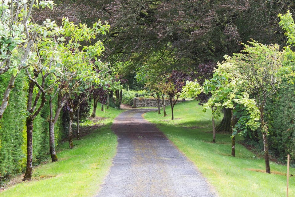 Entry Drive