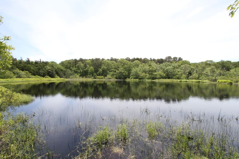 Fishing Pond by the house.