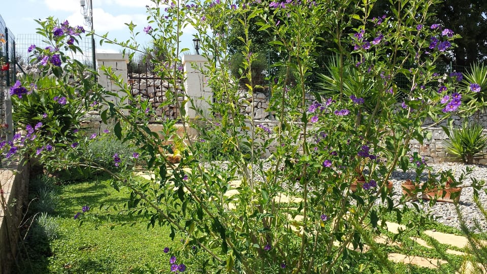 The pedestrian gate from the garden