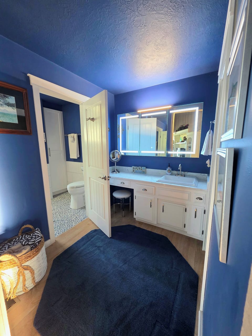 Vanity Room attached to Primary Bedroom. 