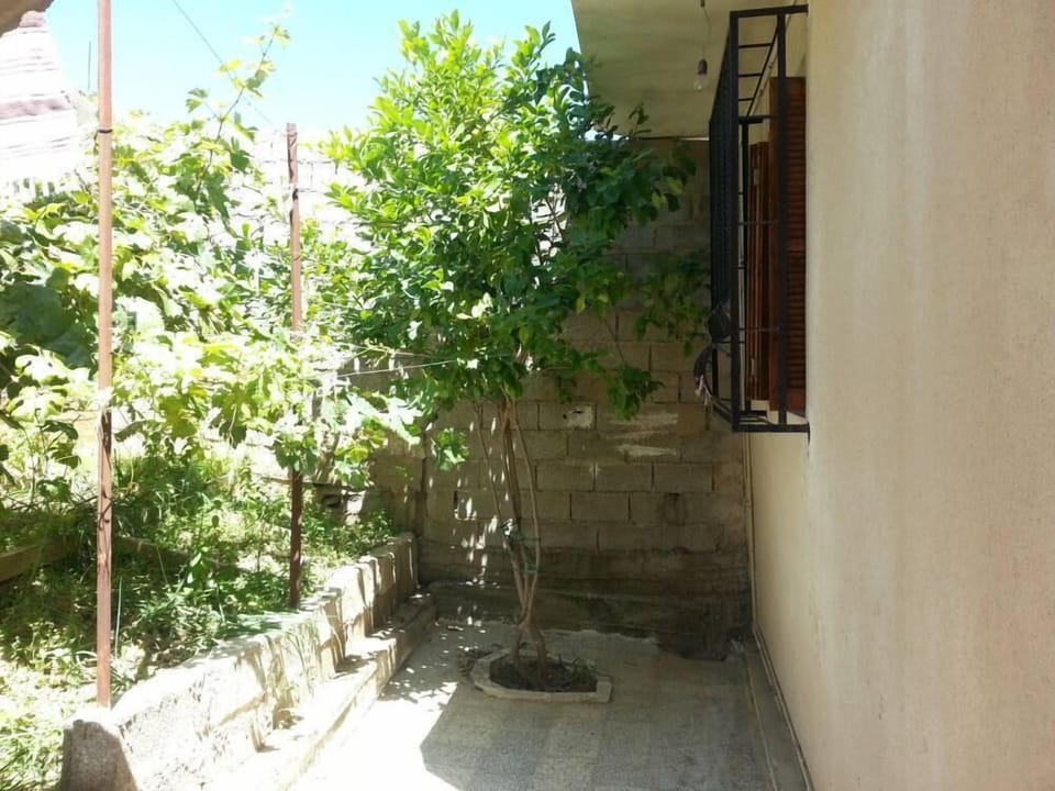 Terrace / Balcony
