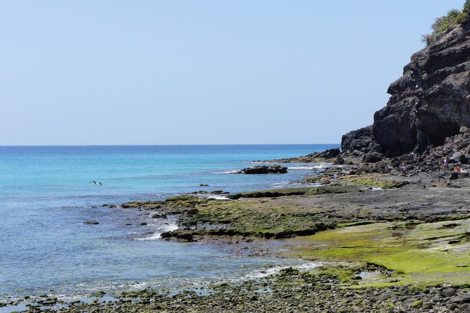 Local view