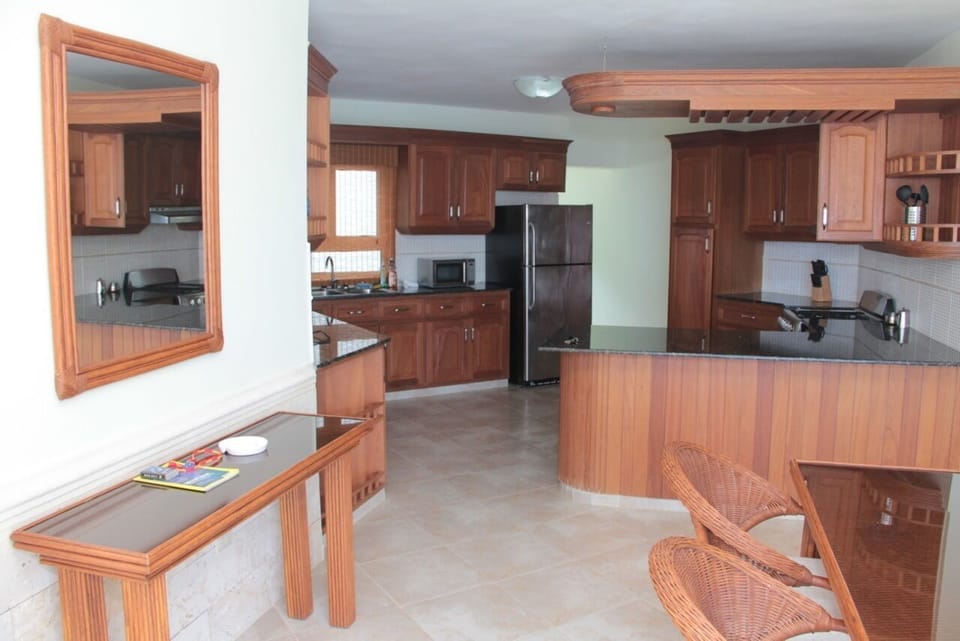 Overall view of the kitchen area