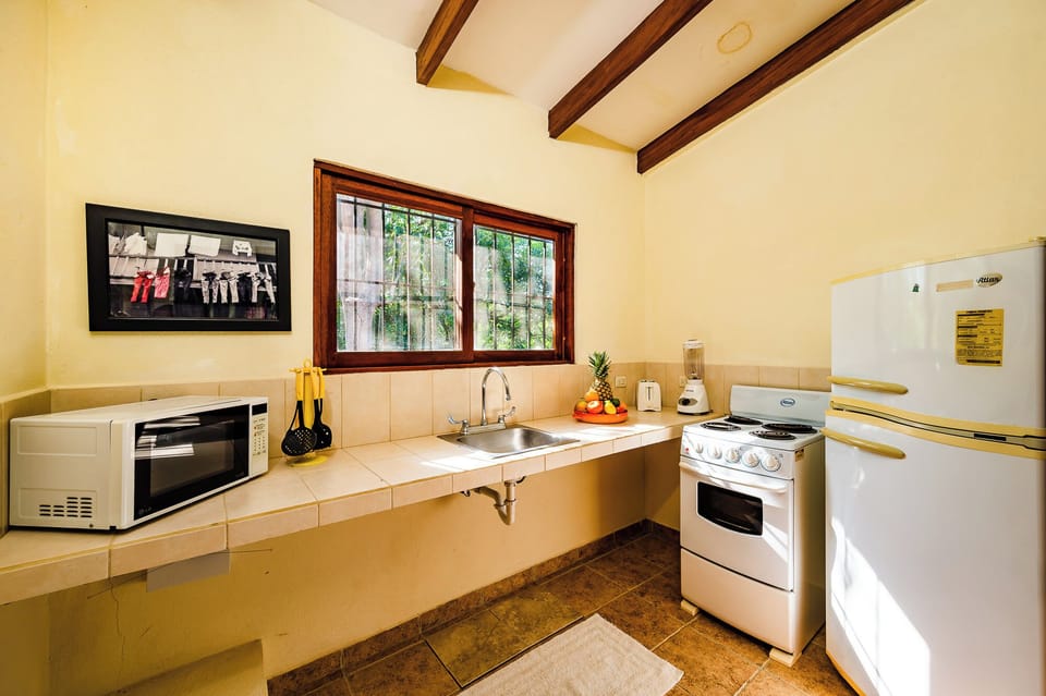 Studio apartment kitchen