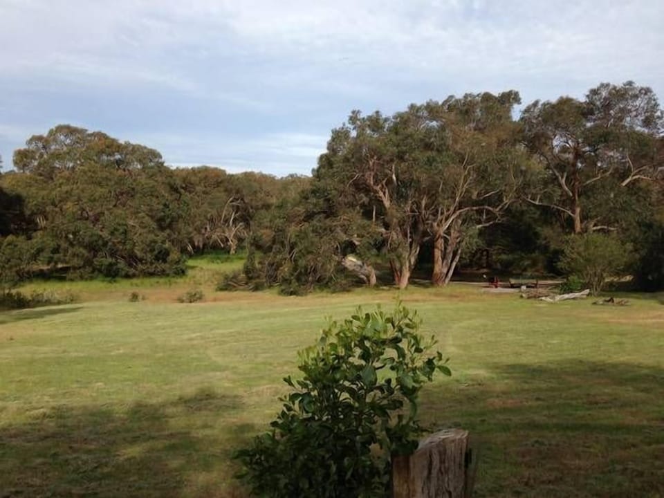 front yard