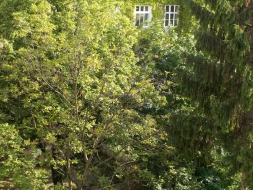 Garden, Park