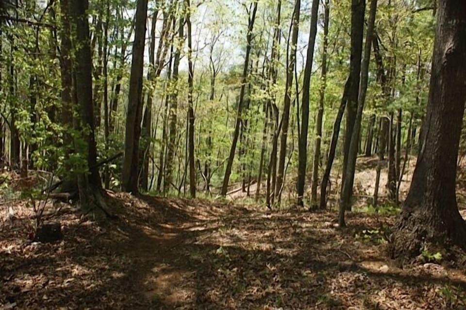 Best Part!  This trail entrance leads down to the Sky Valley Dupont entrance!