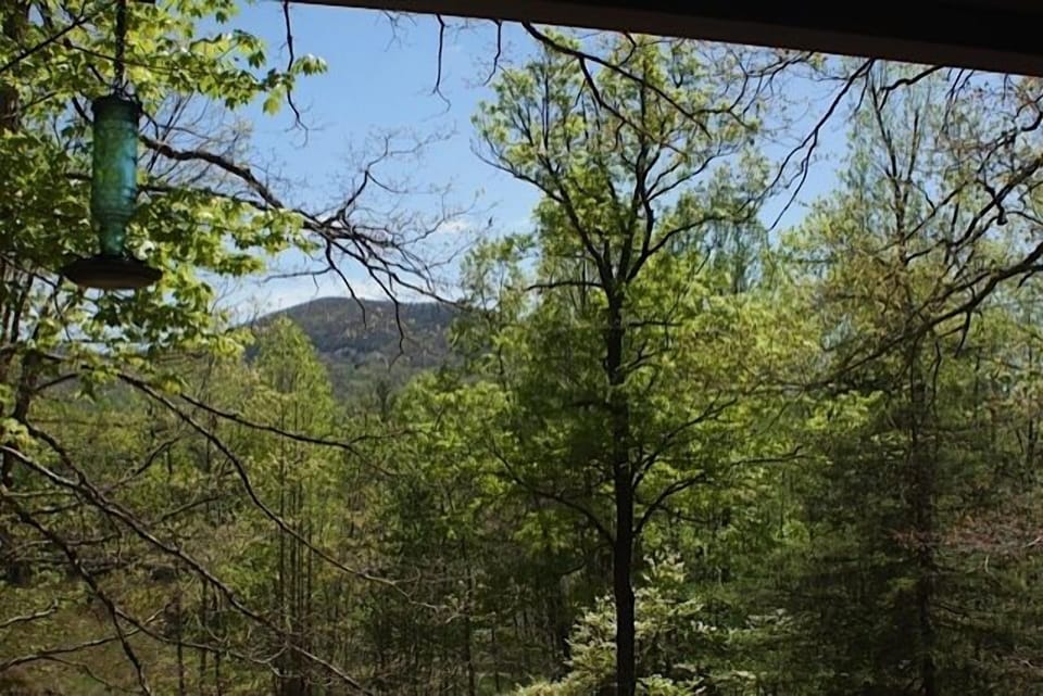 View from Porch