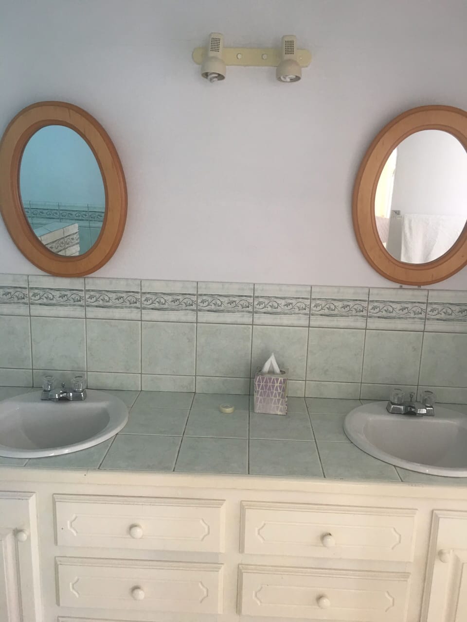 Master Bath Sinks