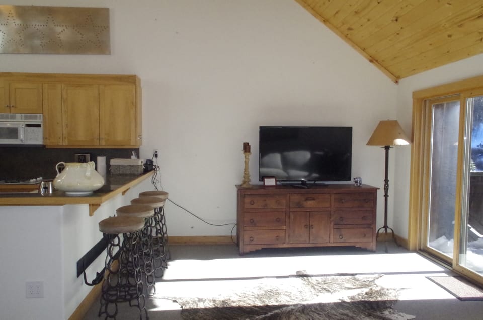 Living Area - 55" TV, Natural light