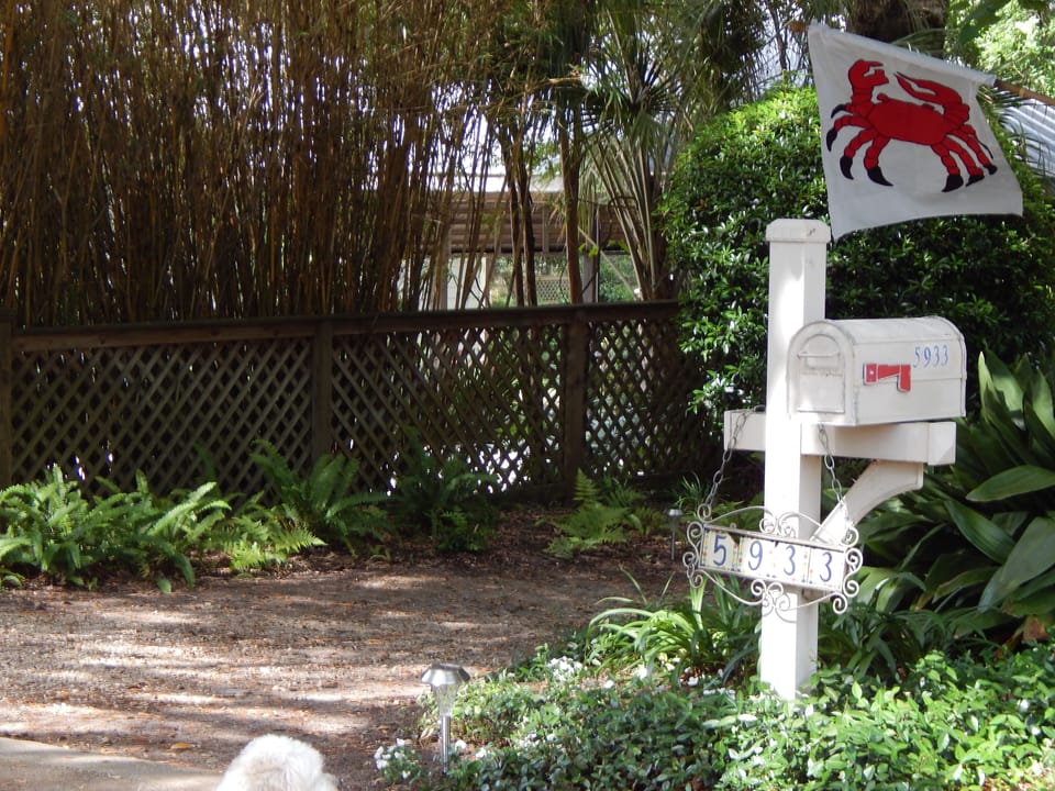Driveway and entrance to the house.
