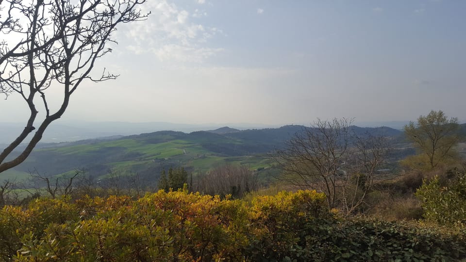 View from Dinning room erracet