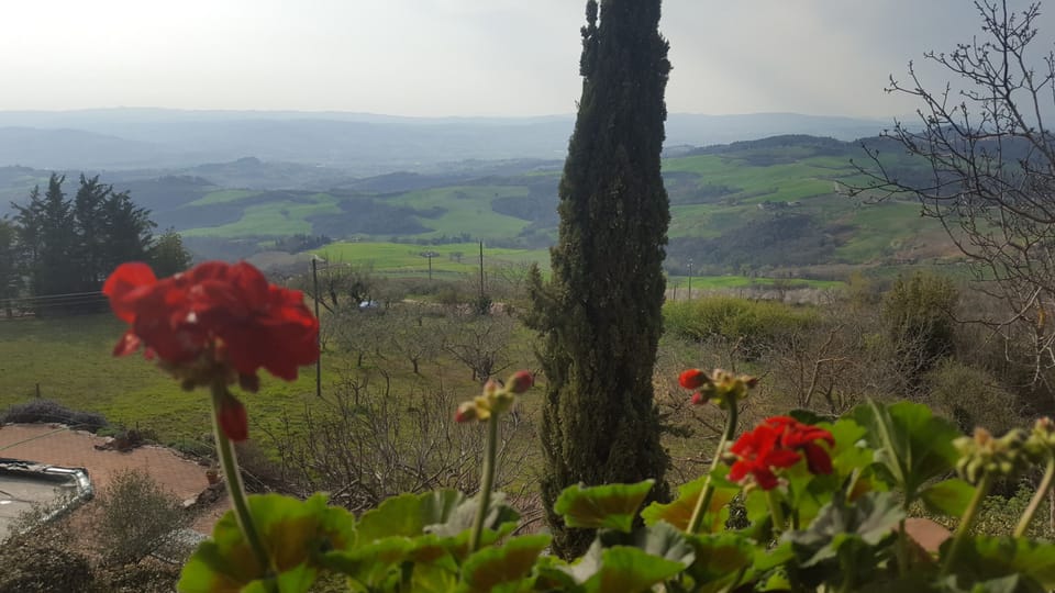 View from balcony
