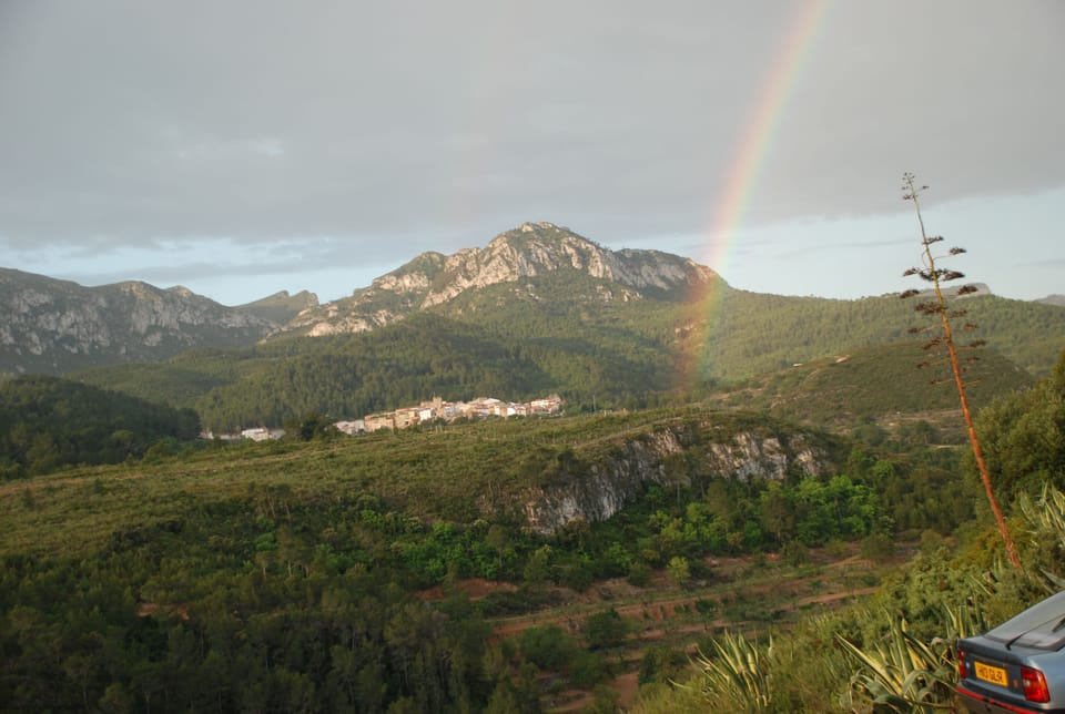 view from terrace