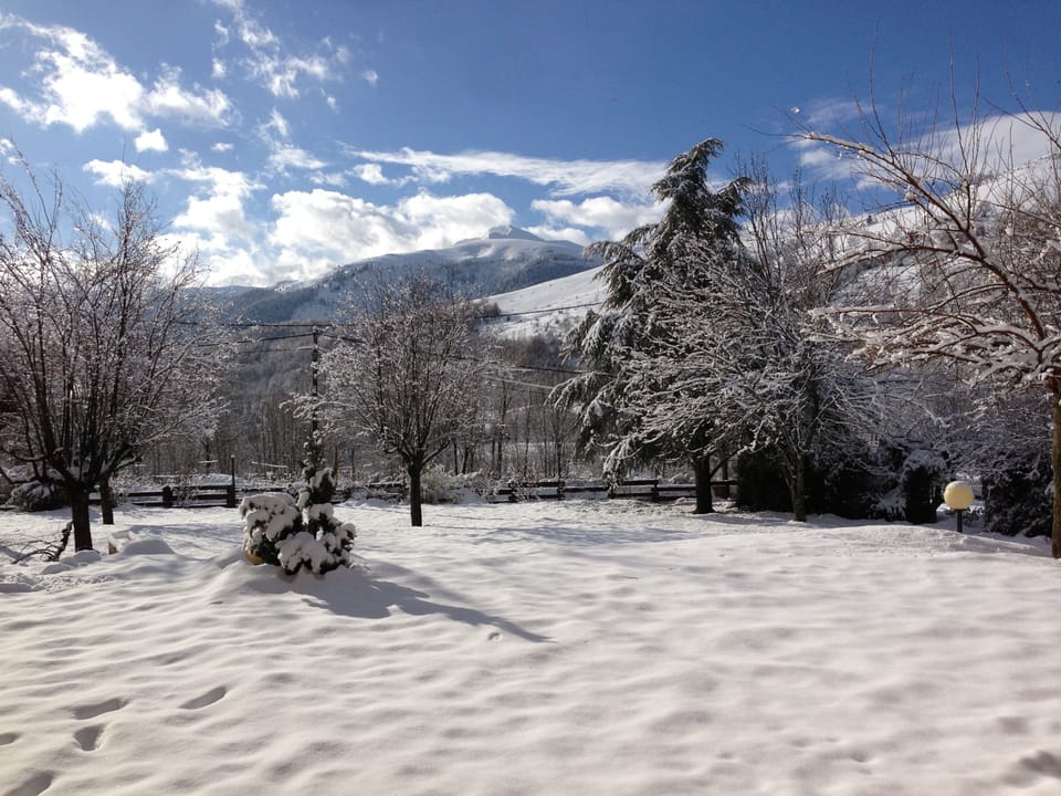 Snow and ski sports