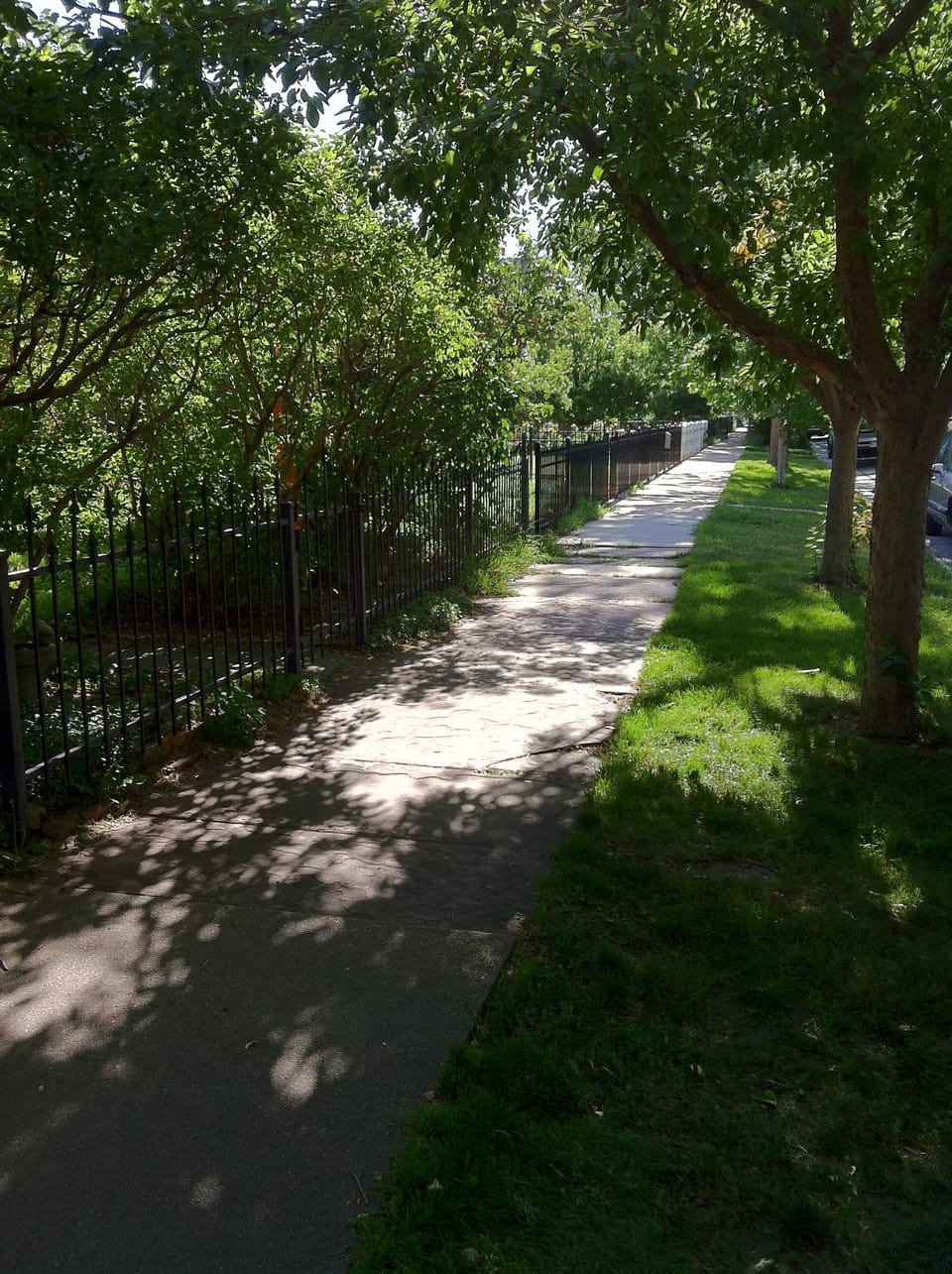 The view down our street