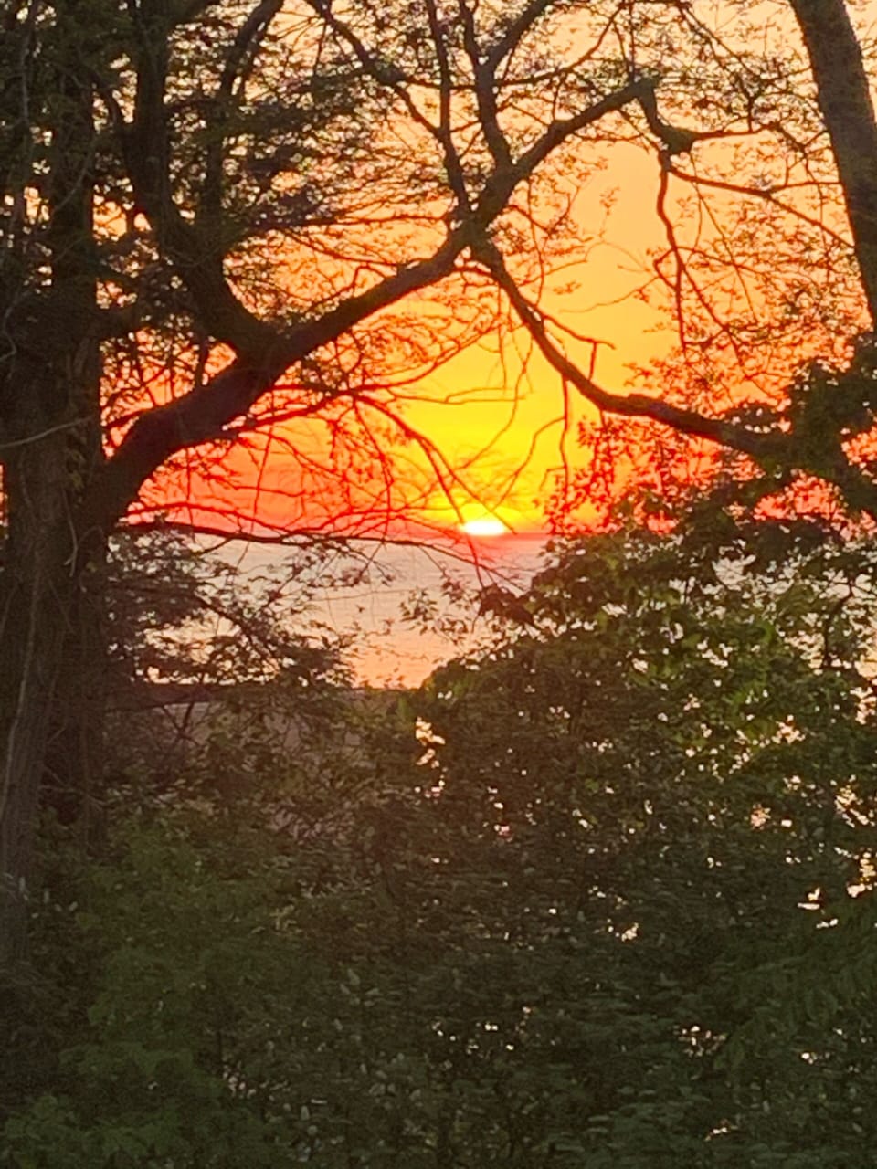 Early summer sunset. Photo taken from in front of cottage.