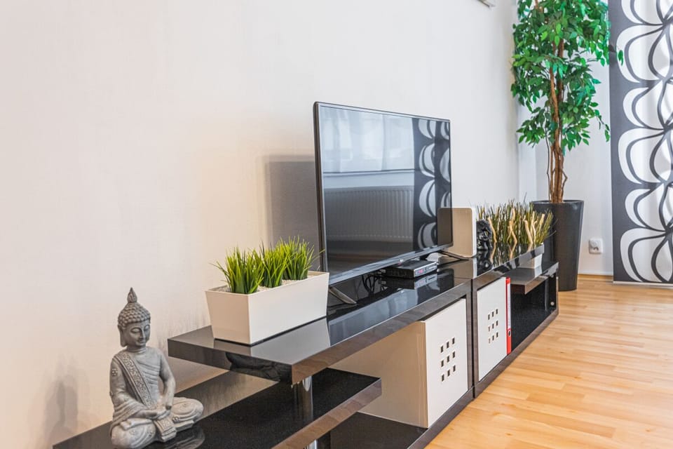 SMART TV with Netflix