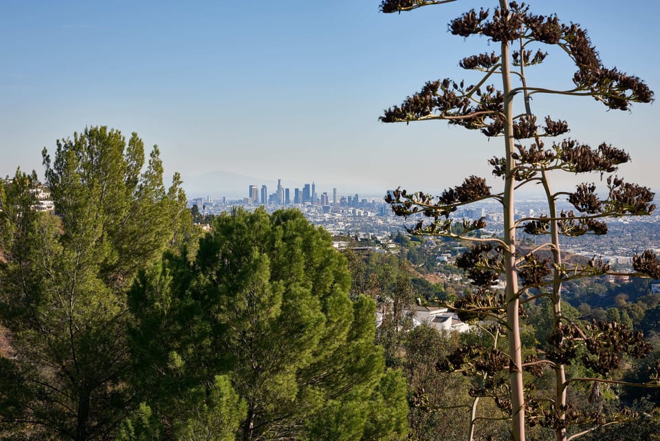 City Views